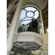 Round Sightseeing Elevator with Cheap Price